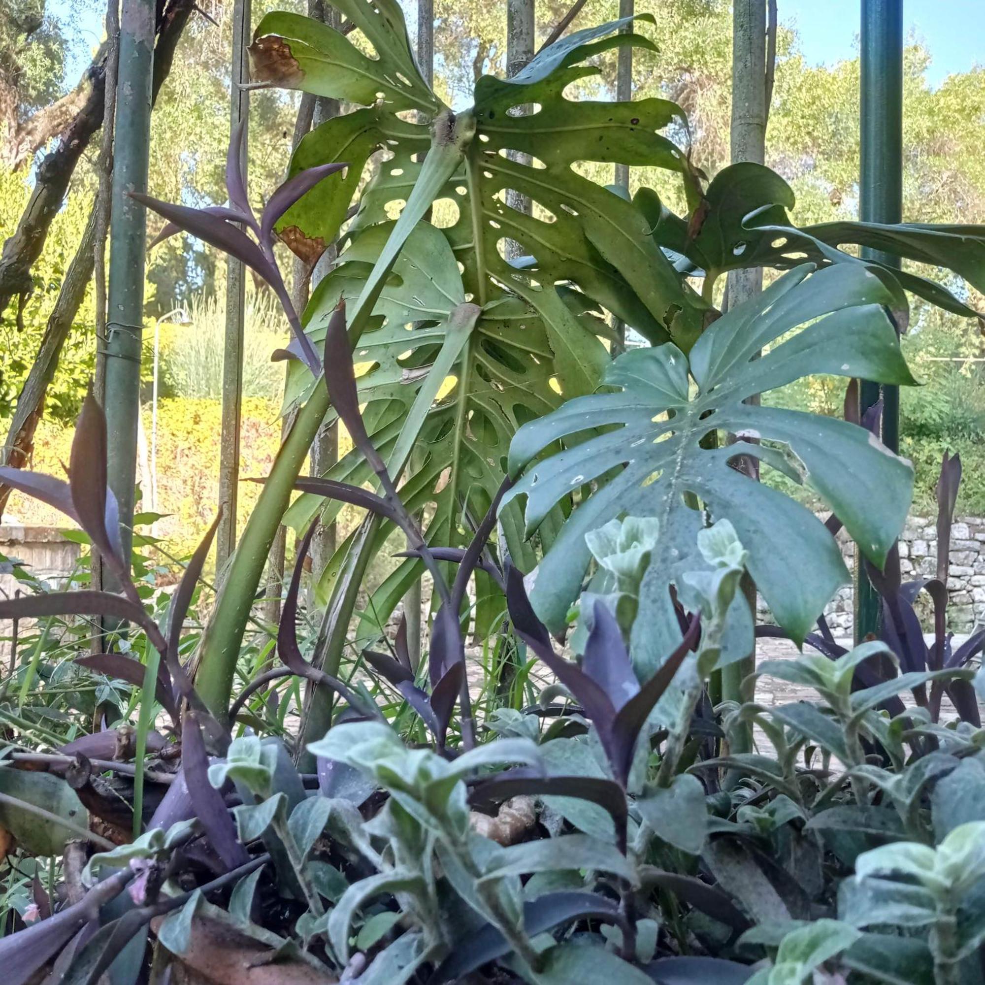 Villa Kefalomandouko Alepou 外观 照片